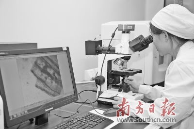 松山湖發力生物產業 精準扶持生物技術開發，打造創新高地